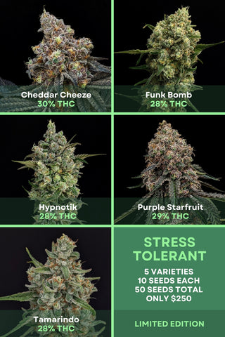 Stress Tolerant Trial Pack